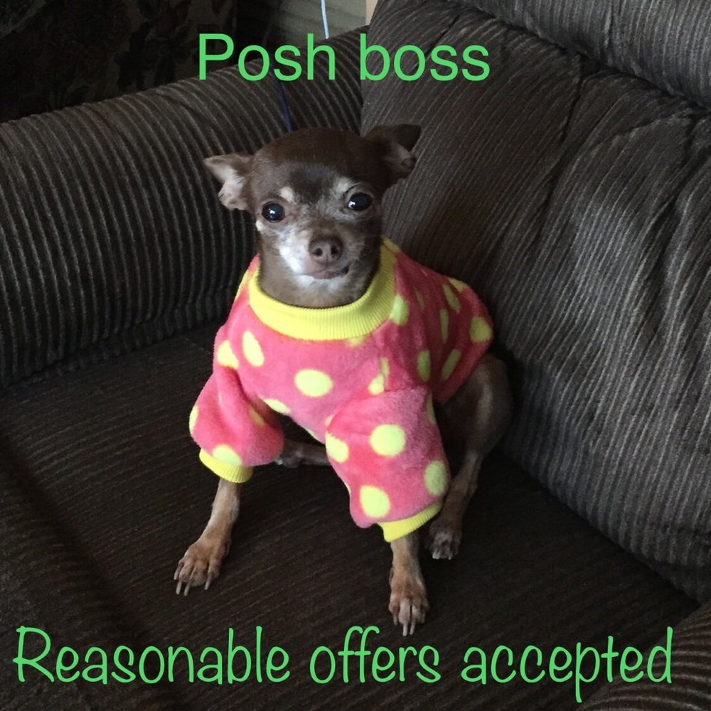 Make me an offer - Picture 1 of 1